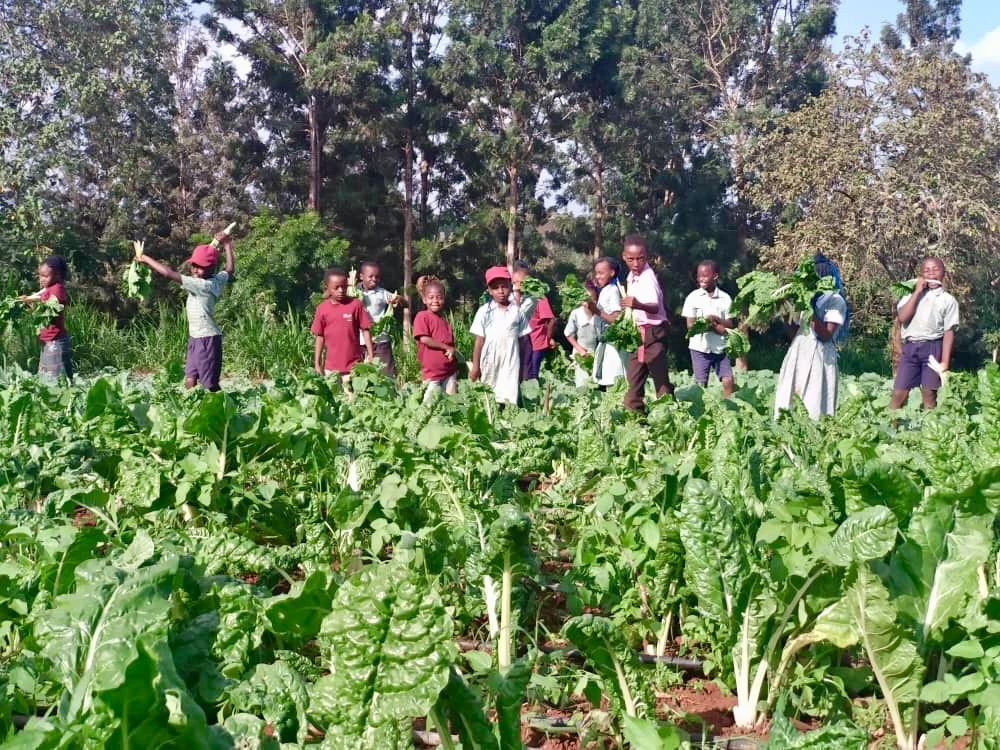 A group gathered in the vegetable garden.