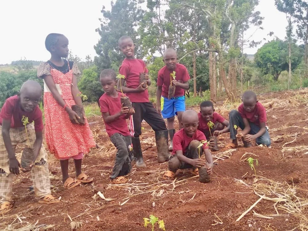 Children gathered with seedlings in the garden.
