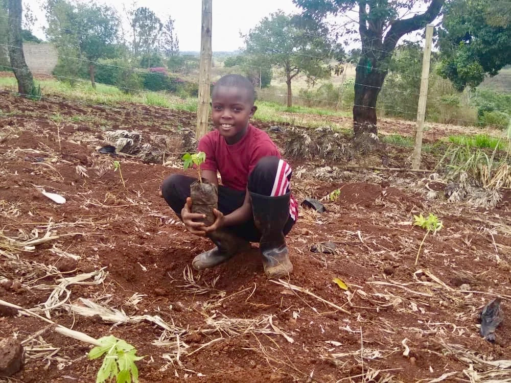 A child holding a seedling ready for planting.