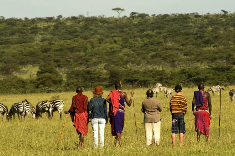 A walking excursion photograph featured on the earlier website.